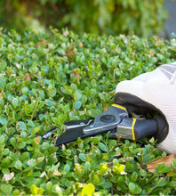 Load image into Gallery viewer, Bypass Pruning & Gardening Steel Blade Scissors Set by Astorn - Astorn