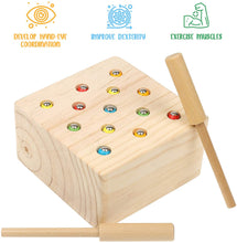 Load image into Gallery viewer, Boxiki kids Wooden Montessori Toys for Babies, Toddlers & Kids, Fine Motor Skills, Magnetic Worm Game for 1 2 3 4 Years Old