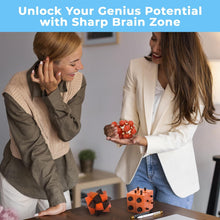 Load image into Gallery viewer, Sharp Brain Zone Teaser Puzzle 3Pcs
