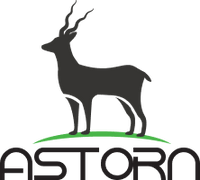 Astorn