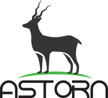 Astorn Logo